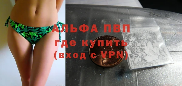 трава Балахна