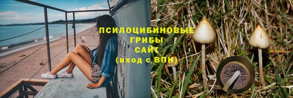 трава Балахна