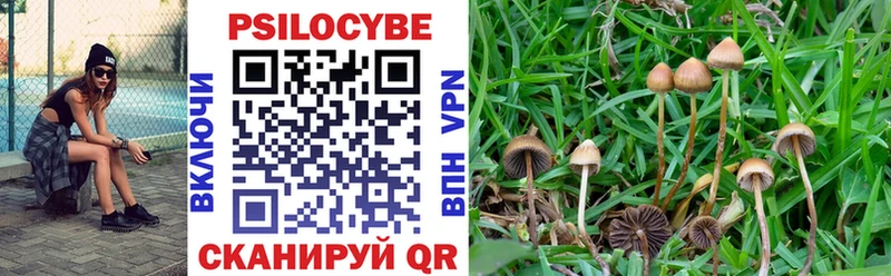 Галлюциногенные грибы Magic Shrooms  Невельск 